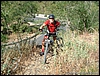 Madonnina_05lug03_(09).jpg