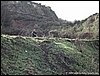 M.S.Angelo_01gen04_(03).JPG