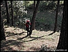 Cono_15feb04_(01).JPG