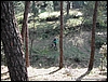 Cono_15feb04_(03).JPG