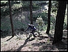 Cono_15feb04_(05).JPG
