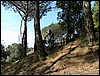Cono_15feb04_(17).JPG