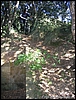 M.Orlando_13ago04_(08).jpg