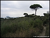 Astroni_10ott04_(05).jpg