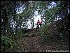 Madonnina_28nov04_(07).JPG