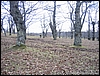 Roccamonfina_16gen05_(23).JPG