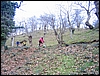 Roccamonfina_16gen05_(25).JPG