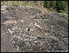 Roccamonfina_orme_(01).JPG
