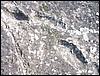 Roccamonfina_orme_(04).JPG