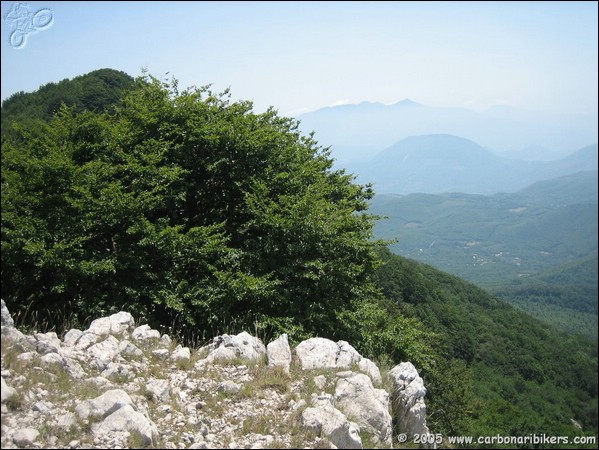 Clicca sull'immagine per ingrandire alla dimesione originale