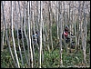 M.S.Angelo_08gen06_(17).jpg