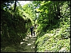 Ischia_21mag06_(04).jpg