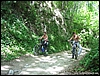 Ischia_21mag06_(06).jpg