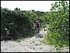 Ischia_21mag06_(16).jpg