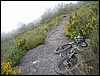 ValleInferno_DH_28mag06_(05).jpg