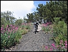 ValleInferno_DH_28mag06_(12).jpg