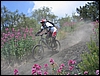 ValleInferno_DH_28mag06_(14).jpg