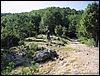 CassinoFreerider_09lug06_(06).jpg