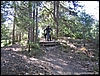 CassinoFreerider_09lug06_(07).jpg