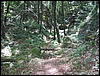 CassinoFreerider_09lug06_(08).jpg