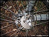 CassinoFreerider_09lug06_(09).jpg