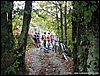 Ischia_offroad_22ott06_(07).jpg
