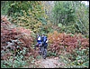 Ischia_offroad_22ott06_(13).jpg