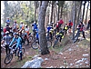 Massico_19nov06_(03).jpg