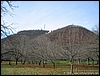 Roccamonfina_10dic06_(06).jpg