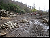 Roccamonfina_10dic06_(16).jpg