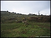 ColliCasertani_07gen07_(09).jpg