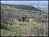 MonteTifata_11feb07_(09).jpg