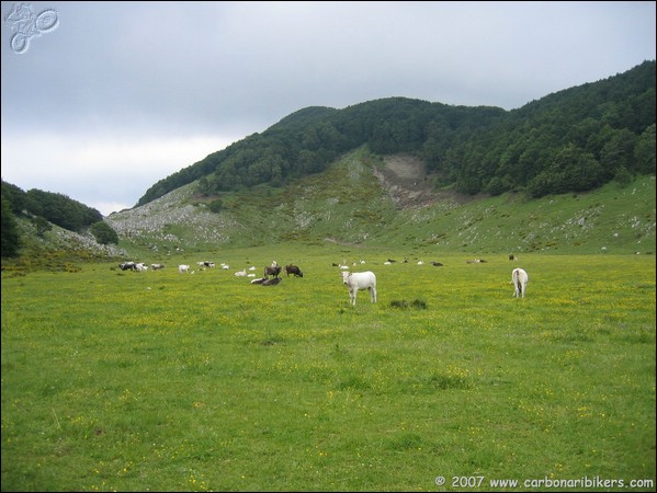 Clicca sull'immagine per ingrandire alla dimesione originale