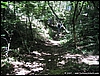 Cassino_07lug07_(05).jpg