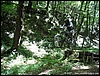Cassino_07lug07_(07).jpg