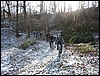 Roccamonfina_16dic07_(15).jpg