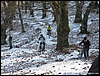 Roccamonfina_16dic07_(17).jpg