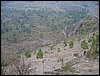 PuntaNasone_27gen08_(28).jpg
