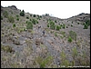 PuntaNasone_27gen08_(29).JPG