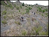 PuntaNasone_27gen08_(30).JPG