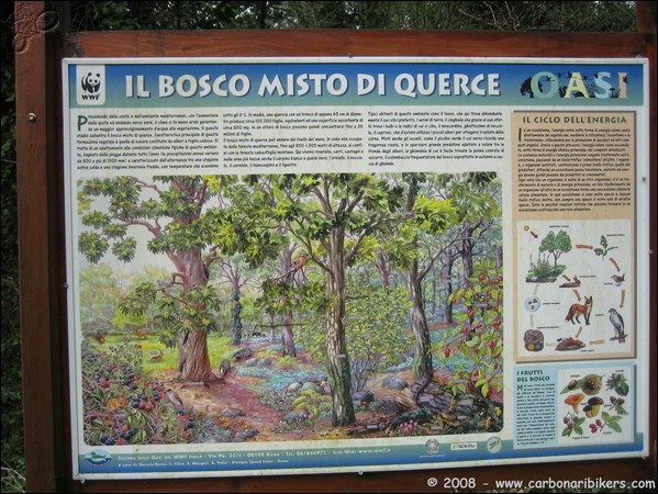 Clicca sull'immagine per ingrandire alla dimesione originale