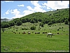 WE_CbKs08_(023).jpg