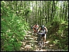 Partenio_29giu08_(06).jpg