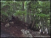 Partenio_29giu08_(25).JPG