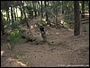Vesuvio_16lug08_(11).jpg