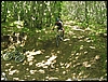 BraciataPartenio_20lug08_(06).jpg