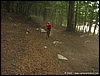 EstateCbKs08_(05).jpg