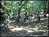 Roccamonfina_05ott08_(19).JPG