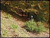 Camporuccio_19ott08_(39).jpg
