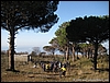 Madonnina_Trenino_11gen09_(02).JPG